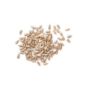 Toasted Dry White Seeds