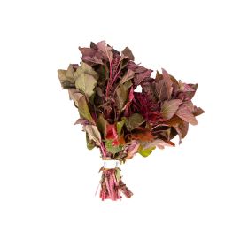 Premium Red Palak Leaves