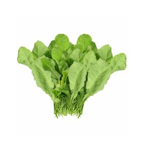 Premium Green Palak