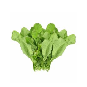 Premium Spinach