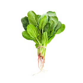Fresh Spinach Leaves Local