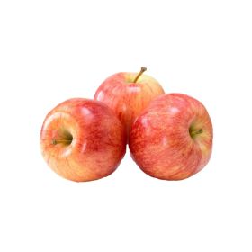 Apple Gala Lebanon