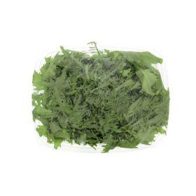 Green Frissee