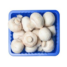 Mushroom White UAE