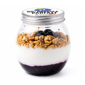 Grandiose Blueberry Granola Parfait