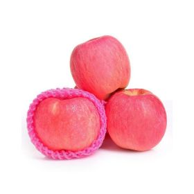 Fuji Medium Apples China