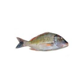 Sheri Emperor Fish