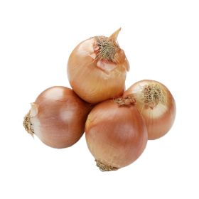 Onion Yellow Holland
