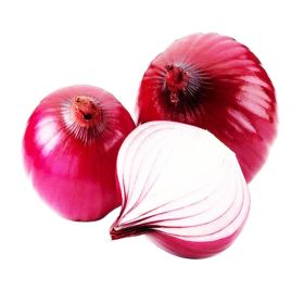 Organic Red Onion Egypt
