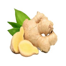 Ginger India