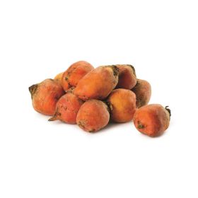 Baby Golden Beetroot South Africa