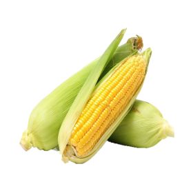 Organic Sweet Corn