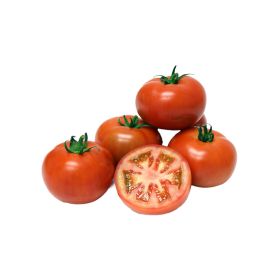 Tomato GCC
