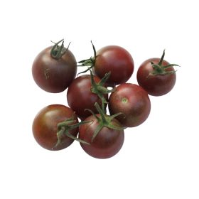 Elite Brown Plum Cherry Tomato