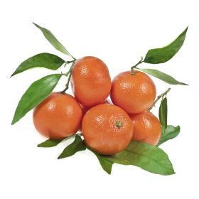 Clementine with Leaves