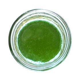 Mint Syrup