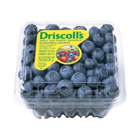 Driscolls Blueberries Shaker Morocco