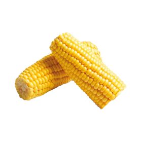 Cooked Corn Spain
