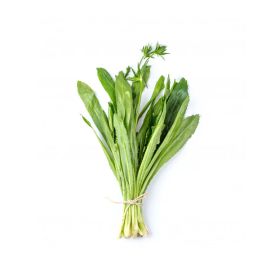 Coriander Thailand