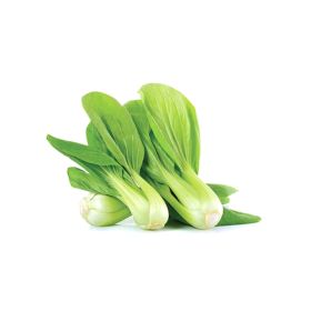 Pak Choy Baby Premium Thailand