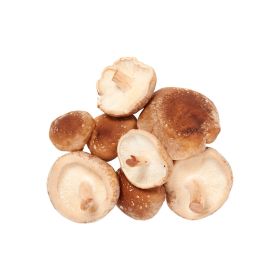 Mushroom Shitake Holland