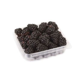 Blackberry Holland