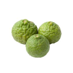 Kafir Lime Thailand