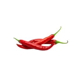 Chilli Red Thailand