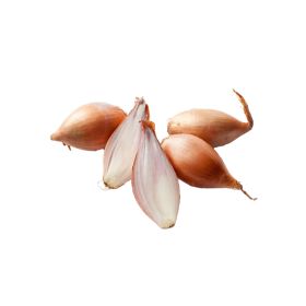 Shallots Holland