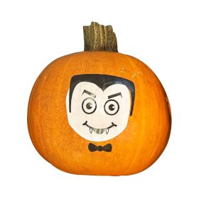 Painted Pumpkins Character Collection 1.7KG Assorted