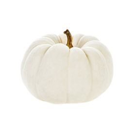 White Pie Pumpkin