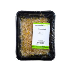 Alfalfa Netherland