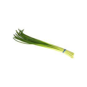 Garlic Sprout