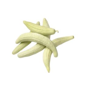 White Cucumber Lebanon