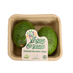 Organic Avocado Kenya
