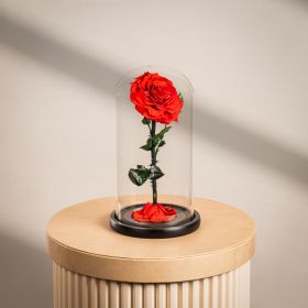 Large Infinity Single Red Rose