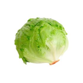 Organic Lettuce Iceberg