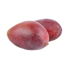 Mango Palmer Brazil