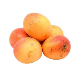 Mango Round Kenya