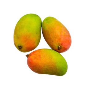 Mango Taimoor Yemen