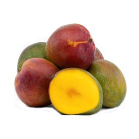 Mango Tommy South Africa