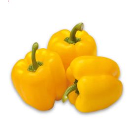 Capsicum Yellow Local
