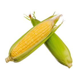 Sweet Corn Local