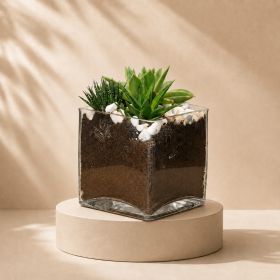 Succulent Mix Square Vase
