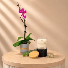 Mini Purple Orchid with Believe Joy Candle