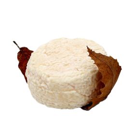 Mothais Sur Feuille