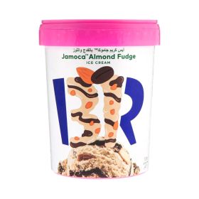 Baskin Robbin Jamoca Almond Fudge Ice Cream