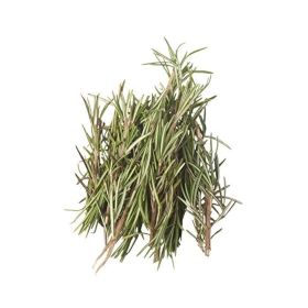 Rosemary