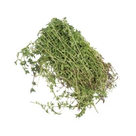 Thyme Punnet