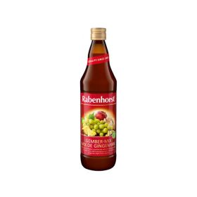 Rabenhorst Organic Ginger Mix 750ml